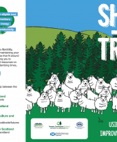 Sheep and Trees Information Leaflet
